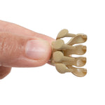 Load image into Gallery viewer, Radhu & Kabby Mini Claw Clips for Girls | 12-Piece Glossy Acrylic Finish | Strong Hold Hair Accessories for Everyday & Festive Wear