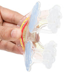 Load image into Gallery viewer, Rainbow Hair Clutchers - Durable & Cute Set of 3