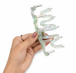 Load image into Gallery viewer, Radhu &amp; Kabby Wavy Hair Claw Clips for Women | Pearl Finish Transparent Hair Clutcher for Thick &amp; Thin Hair | Pack of 2 Stylish Hair Accessories