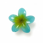 Load image into Gallery viewer, Radhu &amp; Kabby Floral Pastel Hair Claw Clip for Women/Girls | Pack of 6 Stylish Flower Design Hair Accessor