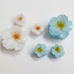 Load image into Gallery viewer, Radhu &amp; Kabby Elegant Glossy Flower Hair Claw Clips | Strong Hold Clutcher Set of 6 for Girls/Women