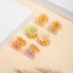 Load image into Gallery viewer, Radhu &amp; Kabby Mini Clutchers for Girls/Women | Set of 6-Piece Flower Mini Claw Clips | Hair Clips with Multicolor Floral Design